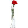 QUUPY Vaso da fiori in vetro trasparente decorativo da 20 cm, vaso a stelo singolo, per casa, matrimonio, ufficio, decorazione natalizia