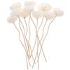 HOLIDYOYO Set di 10 Pezzi Aromatherapy Rattan Bastoncini Diffusori con Fiori Secchi, per Profumare Casa e Ufficio, per Decorazione e Diffusione Aromatica