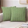 AUAUY Copricuscini Divano in Velluto a Coste, 40x40cm Federe Cuscini Divano, Copricuscini Decorativi Morbidi Quadrati con Cerniera, per la Decorazione Domestica, Soggiorno, Camera - Verde