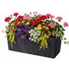 Relaxdays Fioriera da Balcone, autoirrigazione, 19x50x19 cm, con Inserto drenante e indicatore Livello, PP, Nero
