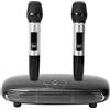OEM Set karaoke con sistema microfonico wireless a doppio canale - Bluetooth 5.0 con cavo coassiale in fibra ottica - Per feste in casa e KTV - Con altoparlante karaoke