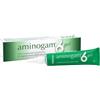 PROFESSIONAL DIETETICS SpA Aminogam 6 gel tubo 15 ml