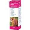 N.B.F. LANES RIBES HORSE SHAMPOO BALS ULTRA - N.B.F. LANES - 935668828