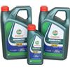 Castrol Olio Motore Castrol Magnatec A5 5W30 WSS-M2C913-D 15F60F 11 L