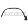 PRASCO Modanatura decorativa/protettiva, Parafango VG8091582 Compatibile con: VW TIGUAN