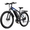 DUOTTS C29 Bicicletta elettrica con portapacchi posteriore, 750W, batteria 48V 15Ah, autonomia 50km