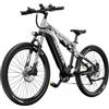 DUOTTS E29 Bici elettrica 250W, batteria 48V 13.5Ah, pneumatici 27.5 x 2.6" pollici - Bianco argento