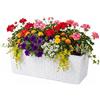Relaxdays Fioriera da Balcone Relaxdays, autoirrigazione, 19x50x19 cm, per ringhiera con Inserto e indicatore Livello, PP, Nero