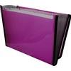 Raylu Paper® - Raccoglitore per documenti a fisarmonica a 12 scomparti, raccoglitore in plastica per ufficio con divisori e bordi rinforzati (Fucsia)