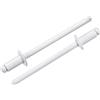 QUARKZMAN 50Pz 1/8x1/4 Rivetti A Testa Tonda Con Mandrino In Acciaio Zincato E baccello A Presa Per Rivetti Ciechi, Colore Bianco