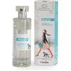 Ingenya Profumo Marial Fragranza Bergamotto - IC121 - Ingenya - Profumo Marial Fragranza Bergamotto - 100ML