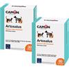 Camon Artosalus - G876 - Camon - Artosalus - 60X60CPR