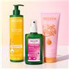 Weleda Latte Corpo (250ml) + gel doccia (200ml) e deodorante (100ml)