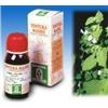SPECCHIASOL Srl MELISSA 17 50ML TM
