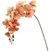 Generic Orchidea farfalla artificiale, fiori finti realistici, ramo di Phalaenopsis artificiale al tatto, per decorazione di feste di nozze (arancione)