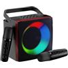 OEM Sistema karaoke wireless con 2 microfoni e luci