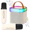 OEM Impianto karaoke per bambini con microfoni wireless e luci a LED