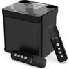 OEM Set karaoke per adulti, portatile, Bluetooth, 2 microfoni wireless, per feste