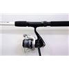 Lineaeffe Combo di Engins da Pesca Snake Head Allround, Canna da 2,40 m, Taglia 30
