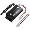LiTime Caricabatterie 12V 40A, montabile per batteria al litio LiFePO4 d 12V 40A