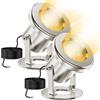OSREE 6W Luci per Laghetto 2700K, Acciaio Inossidabile SS316 Faretti per Laghetto Faretti per Laghetto con Cavo 4,5M, IP68 Luci Laghetto Immersione per Fontana, Cascata, Laghetto da Giardino, 2er-Pack