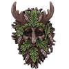 Nemesis Now Bryn Tree Spirit - Placca da parete, 20,8 cm, colore: Marrone