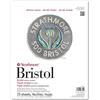 Strathmore, 580-62 500 Series Bristol, blocco carta con superficie pergamena a 2 strati, 28 cm x 35,6 cm, bianco, 15 fogli