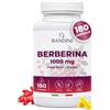 Bandini® Berberina 1000mg pura alto dosaggio | 180 capsule vegane - Berberin HCl da Berberis Aristata al 97% + Cromo e Pepe Nero | Massimo assorbimento - Funzione digestiva, epatica, intestinale