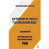 Nelson Salgado-Mercado En tiempos de crisis ll (Tascabile)