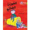 Tim Hopgood Lost Sock (Tascabile) Collins Big Cat Arabic Reading Programme