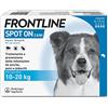 FRONTLINE Spot On, 4 Pipette, Cane Taglia M (10 - 20 Kg), Antiparassitario per Cani e Cuccioli di Lunga Durata, Protegge da Zecche, Pulci e Pidocchi, Antipulci In Confezione da 4 Pipette