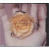 Madonna Bedtime Story (Gold CD) (CD)