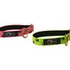 Axaeco Collare Sleddog Reflex
