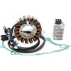Topteng Stator Generator Regulator Rectifier Gasket Adatto per Yamaha TT 600 R TT600R 1999-2001