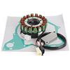 Topteng Magneto Stator+Voltage Rectifier+Gasket Adatto per Yamaha XV400 Virago 400 1991-1994, Adatto per Yamaha XV500 Virago 500 1992-1997, Adatto per Yamaha XV535 Virago 535 1987-1996