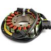 Topteng Generator Stator Adatto per Honda CB600F Hornet 600 PC41 2007-2013, Adatto per Honda CBF600N (Naked) 2008-2010, Adatto per Honda CBF600S 2008-2010