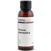Aroma Labs Prugna BIO (Prunus domestica) - 50 mL - Olio Vegetale Vergine e Certificato AB - Aroma Labs - Made in France