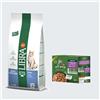 Affinity Libra 12 kg Libra Adult Crocchette per gatto + 8 x 85 g Ultima Cat gratis! - Sterilized con Tonno + Mix II (pollo, manzo, tonno, pesce di mare)
