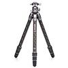 BENRO Trepied Photo Carbone Tortoise 24C+GX30 - TTOR24CGX30