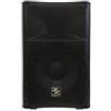 Sinextesis ZZIPP ZZPK110 Cassa Acustica Attiva Wireless 80W