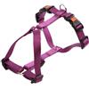 Kerbl Pet Kerbl 82159 Pettorina Imbracatura Miami, colore: Viola
