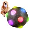 Generic Palla luminosa per cani, piccola palla rimbalzante da recupero, palla luminosa per cani, palla lampeggiante che si illumina al buio, giocattolo elastico per animali domestici, giocattoli per