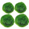 StaZamor 4 Palline di Muschio Marimo Vivo per Acquario, Piante acquatiche Verdi da 2, 7-3, 3 cm per acquari, Filtro per l'acqua Naturale e Decorazione