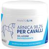Mantosan Arnica per Cavalli 98.2% Gel Raffreddante 500ml Azione Intensa con Artiglio del Diavolo Aloe Vera Mentolo Defaticante Muscolare Effetto Freddo Immediato per Massaggi a Muscoli e Articolazioni Mantosan
