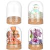 BENECREAT 4 pz Barattoli Decorativi A Cupola, Campana In Vetro Da 60x90mm con Base In Sughero per La Conservazione Dei Fiori, Esemplari, Decorazioni Artigianali