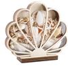 PH PandaHall Espositore per Conchiglie Scatola Portaoggetti in Legno, 18x20cm Portaoggetti in Legno a Forma di Conchiglia con Finestra Trasparente per Spiaggia Costiera Casa Decorazione