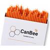 CanBee Candele di cera 50 Candele Sottili Arancioni in Cera d'Api Naturale per Energia, Creatività e Rituali Consapevoli - 16 cm x 0,5 cm - Senza Fumo - Durata circa 40 Minuti - Atmosfera Calda e Intenzionale - CanBee