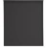 Estoralis Gove Tenda a Rullo Traslucida Liscia, Poliestere, Antracite, 110 x 230 cm