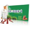 Aromalove Coni di incenso XXL Freedom Citronella - 50 pezzi, aroma di lunga durata, per un'atmosfera rilassante, perfetto per barbecue, giardino, festival