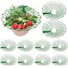 XEERUN 10 supporti per fragole, per fragole, per proteggere le fragole dalla polvere e dalle lumache, per balcone, per fragole, per fragole, per verdure e pomodori